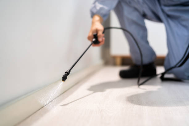 Licensed Mosquito Control service in Modesto, CA - Show Me Pest Control