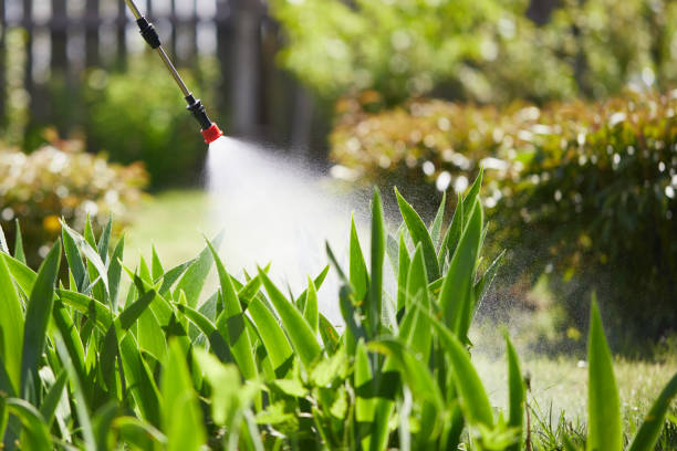 24/7 Emergency Mosquito Control experts in Modesto, CA