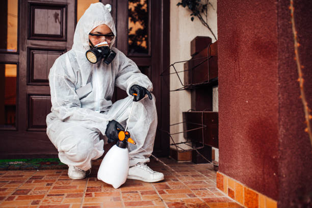 Reliable Mosquito Control contractor in Modesto, CA by Show Me Pest Control
